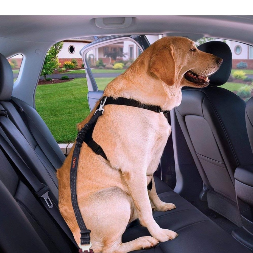 ibuddy Dod Seatbelt. NWOT